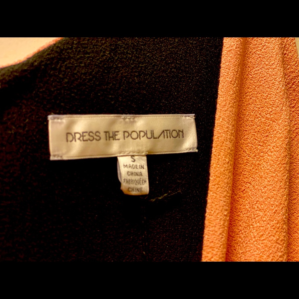 Dress The Population Dress